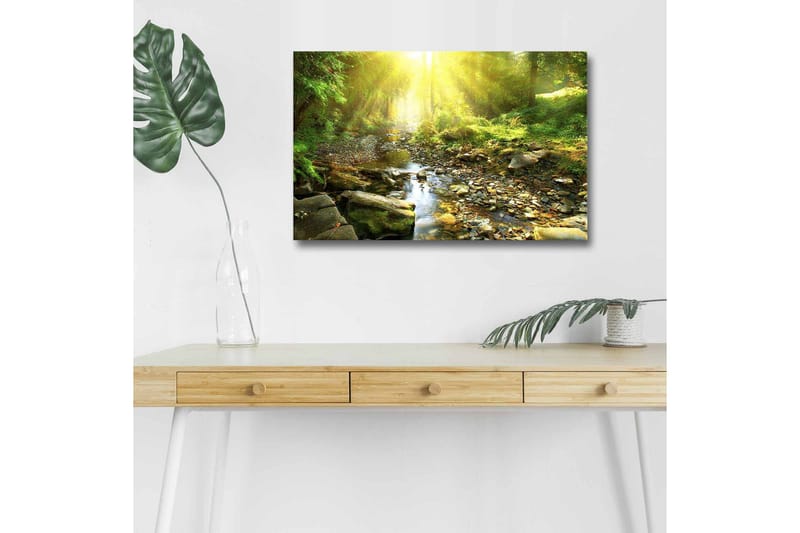 Lerretsbilde med LED-belysning - Solbelyst skog med en klukkende bekk, Grønn / Gul / Brun