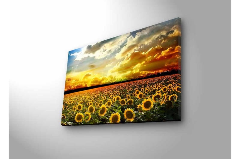 Lerretsbilde med LED-belysning - Solfeltlandskap med strålende solnedgang - Gul / Grønn / Oransje - Innredning - Bilder & kunst - Lerretsbilder