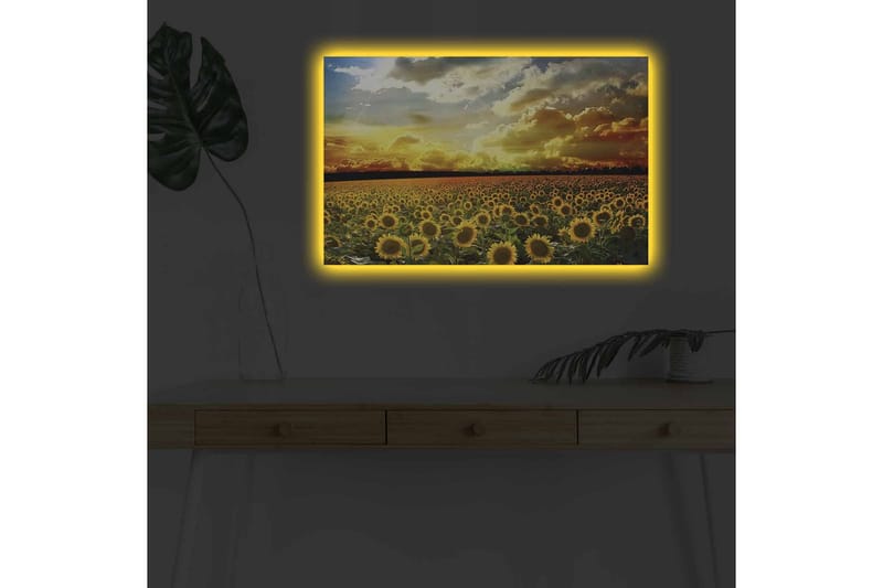 Lerretsbilde med LED-belysning - Solfeltlandskap med strålende solnedgang - Gul / Grønn / Oransje - Innredning - Bilder & kunst - Lerretsbilder