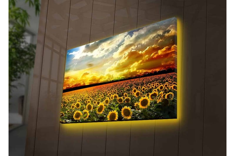 Lerretsbilde med LED-belysning - Solfeltlandskap med strålende solnedgang - Gul / Grønn / Oransje - Innredning - Bilder & kunst - Lerretsbilder