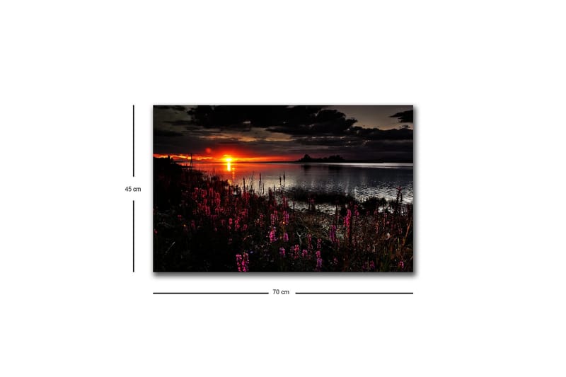 Lerretsbilde med LED-belysning - Solnedgang over en speilblank innsjø med blomstrende planter i forgrunnen - Mørk rosa / Oransje / Svart - Innredning - Bilder & kunst - Lerretsbilder