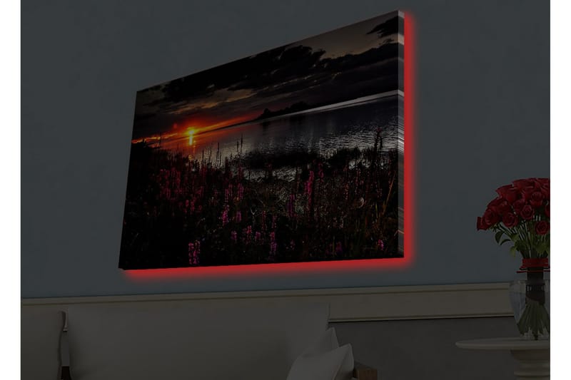 Lerretsbilde med LED-belysning - Solnedgang over en speilblank innsjø med blomstrende planter i forgrunnen - Mørk rosa / Oransje / Svart - Innredning - Bilder & kunst - Lerretsbilder
