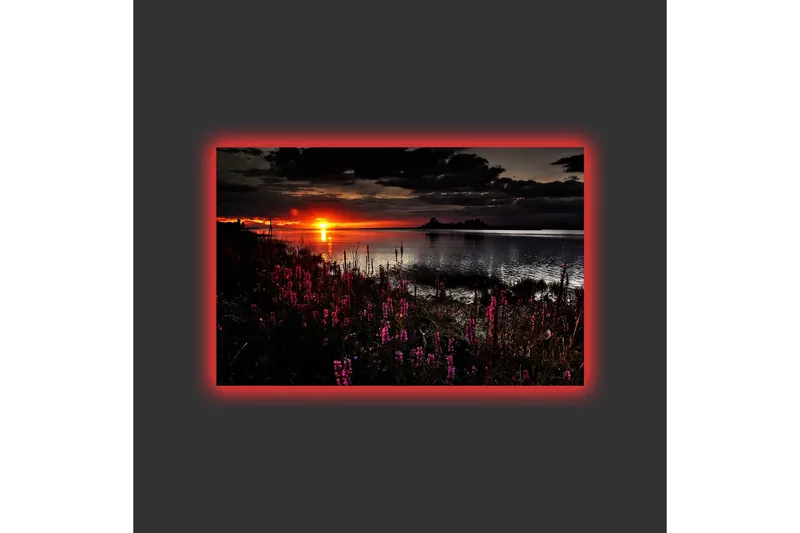 Lerretsbilde med LED-belysning - Solnedgang over en speilblank innsjø med blomstrende planter i forgrunnen - Mørk rosa / Oransje / Svart - Innredning - Bilder & kunst - Lerretsbilder
