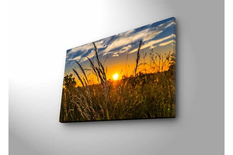 Lerretsbilde med LED-belysning - Solnedgang over et felt med gresstrå i forgrunnen - Gull / Oransje / Blå - Innredning - Bilder & kunst - Lerretsbilder