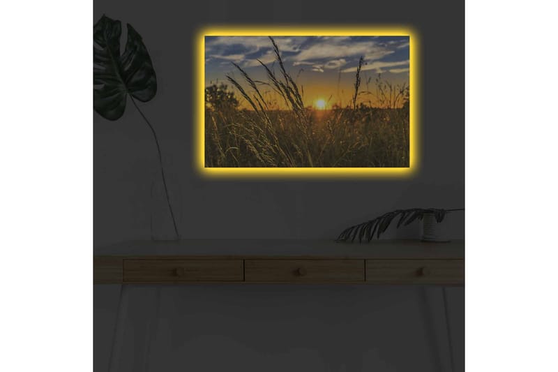Lerretsbilde med LED-belysning - Solnedgang over et felt med gresstrå i forgrunnen - Gull / Oransje / Blå - Innredning - Bilder & kunst - Lerretsbilder