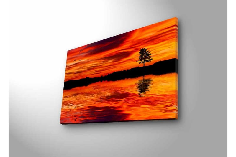 Lerretsbilde med LED-belysning - Solnedgang over rolig vann med silhuetten av et ensomt tre - Oransje / Rød / Svart - Innredning - Bilder & kunst - Lerretsbilder