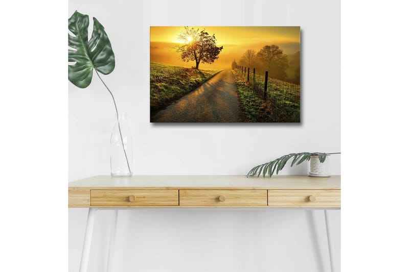 Lerretsbilde med LED-belysning - Soloppgang over en svingete vei med trær og et gjerde - Gull / Grønn / Brun - Innredning - Bilder & kunst - Lerretsbilder