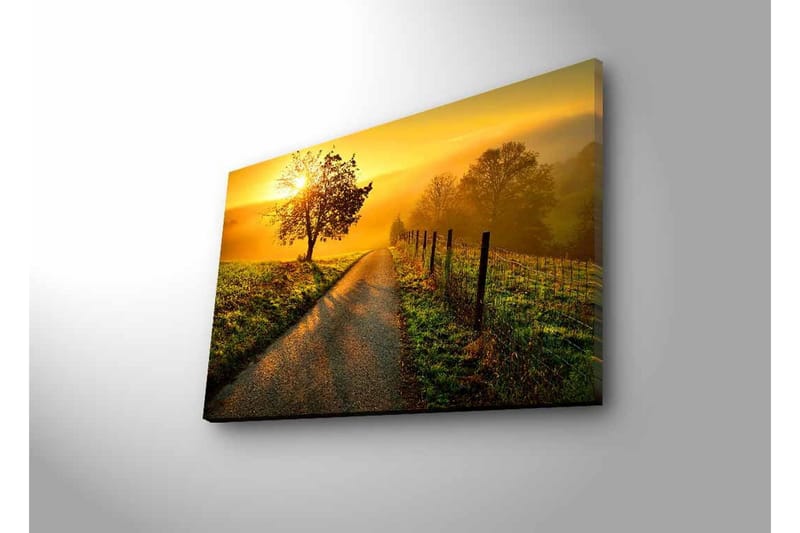 Lerretsbilde med LED-belysning - Soloppgang over en svingete vei med trær og et gjerde - Gull / Grønn / Brun - Innredning - Bilder & kunst - Lerretsbilder