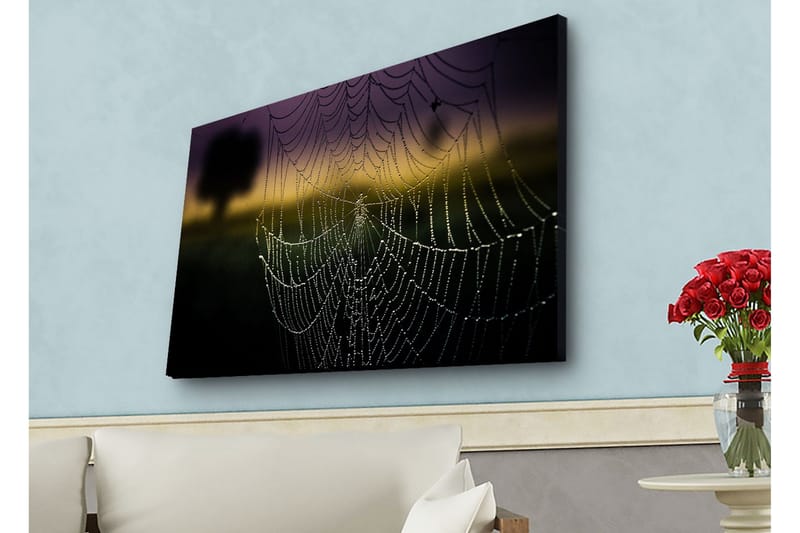 Lerretsbilde med LED-belysning - Spindelvev med duggdråper i mykt lys - Svart / Grå / Gull - Innredning - Bilder & kunst - Lerretsbilder