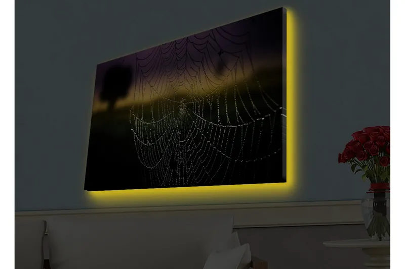 Lerretsbilde med LED-belysning - Spindelvev med duggdråper i mykt lys, Svart / Grå / Gull