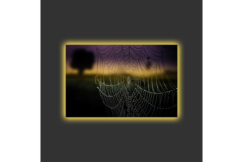 Lerretsbilde med LED-belysning - Spindelvev med duggdråper i mykt lys - Svart / Grå / Gull - Innredning - Bilder & kunst - Lerretsbilder