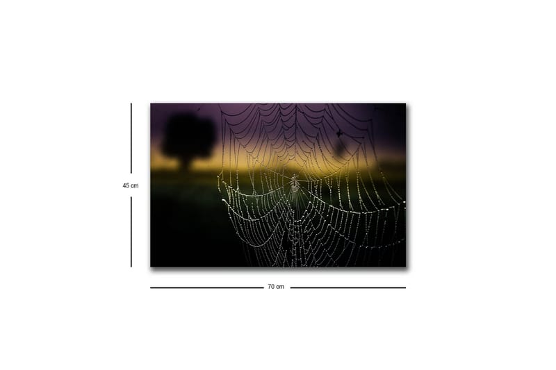 Lerretsbilde med LED-belysning - Spindelvev med duggdråper i mykt lys - Svart / Grå / Gull - Innredning - Bilder & kunst - Lerretsbilder