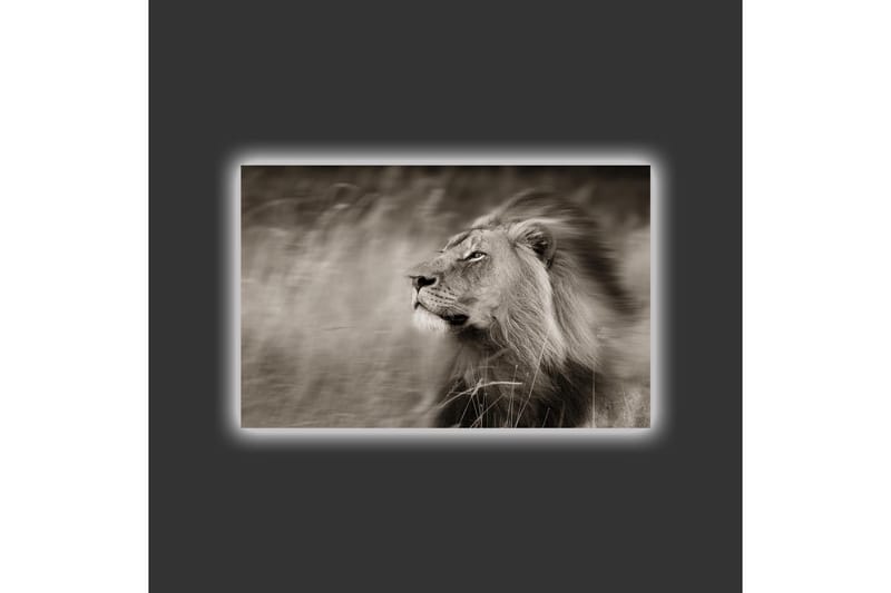 Lerretsbilde med LED-belysning - Statig løveprofil i svart-hvitt - Svart / Grå - Innredning - Bilder & kunst - Lerretsbilder