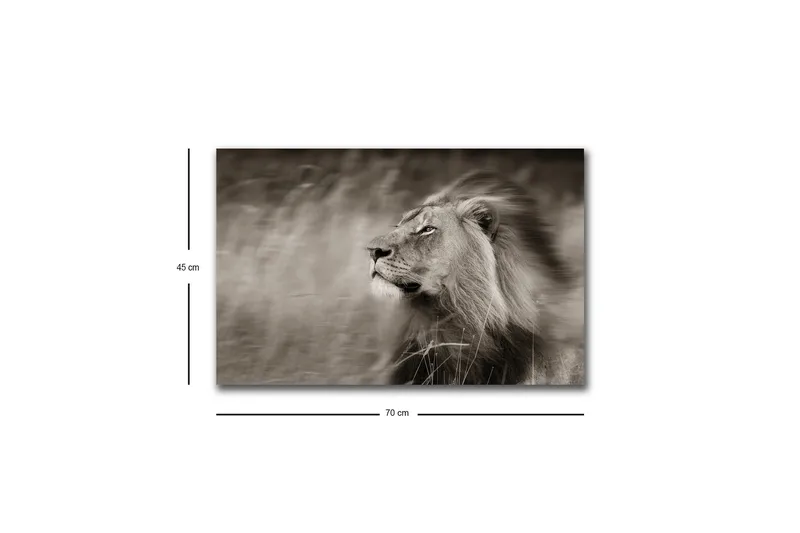 Lerretsbilde med LED-belysning - Statig løveprofil i svart-hvitt - Svart / Grå - Innredning - Bilder & kunst - Lerretsbilder