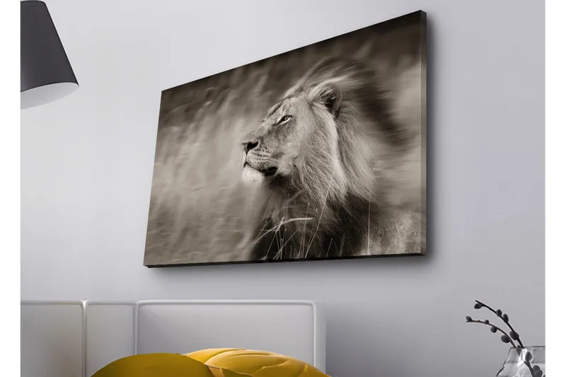 Lerretsbilde med LED-belysning - Statig løveprofil i svart-hvitt - Svart / Grå - Innredning - Bilder & kunst - Lerretsbilder