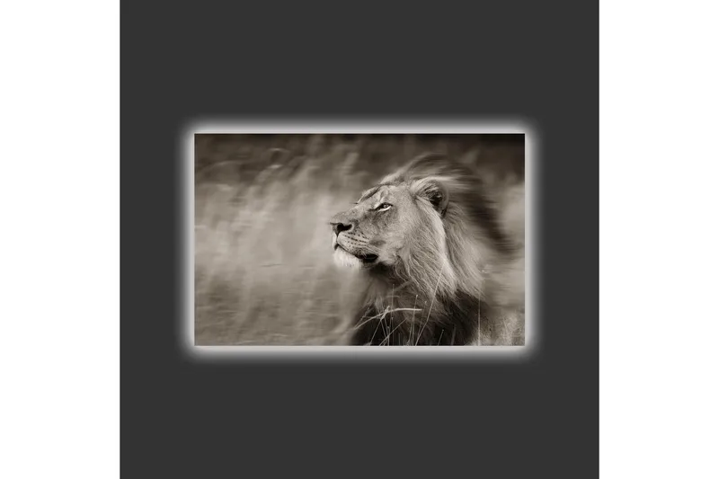 Lerretsbilde med LED-belysning - Statig løveprofil i svart-hvitt - Svart / Grå - Innredning - Bilder & kunst - Lerretsbilder