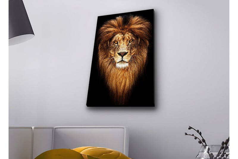 Lerretsbilde med LED-belysning - Statlig løvehode med majestetisk manke - Gull / Svart / Brun - Innredning - Bilder & kunst - Lerretsbilder