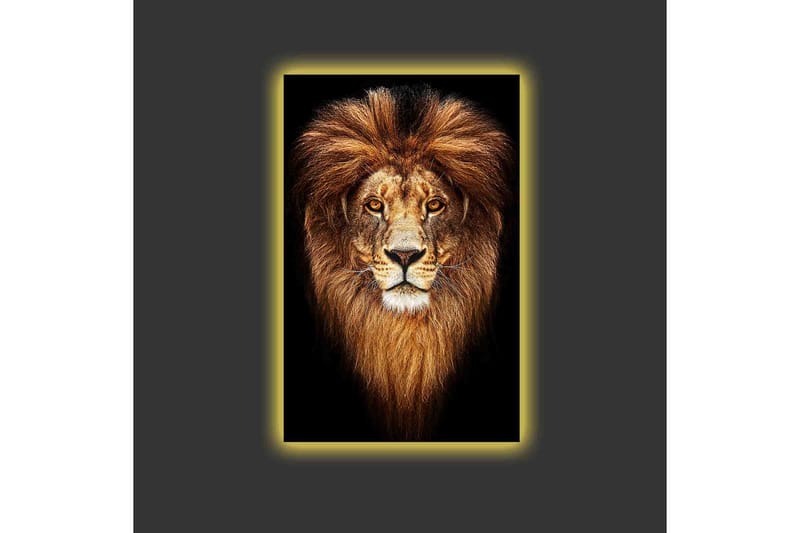 Lerretsbilde med LED-belysning - Statlig løvehode med majestetisk manke - Gull / Svart / Brun - Innredning - Bilder & kunst - Lerretsbilder