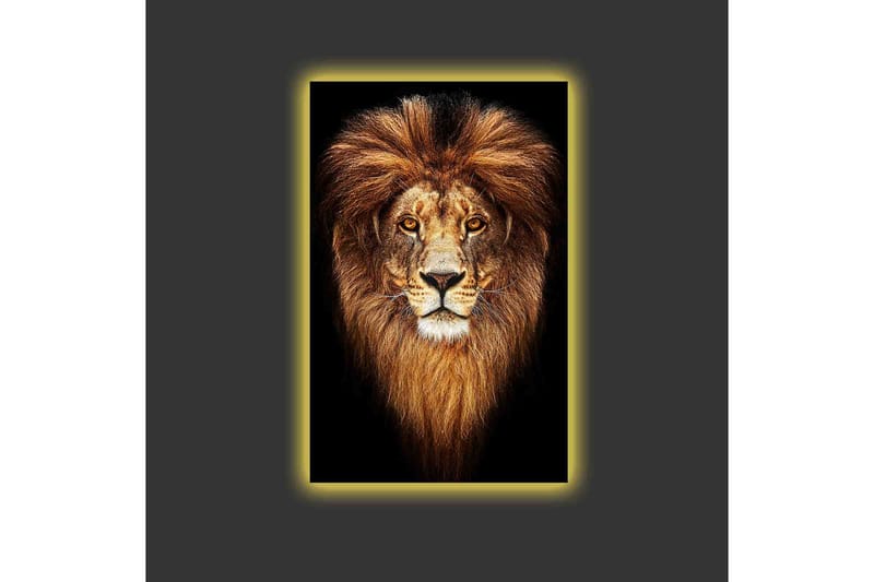 Lerretsbilde med LED-belysning - Statlig løvehode med majestetisk manke - Gull / Svart / Brun - Innredning - Bilder & kunst - Lerretsbilder