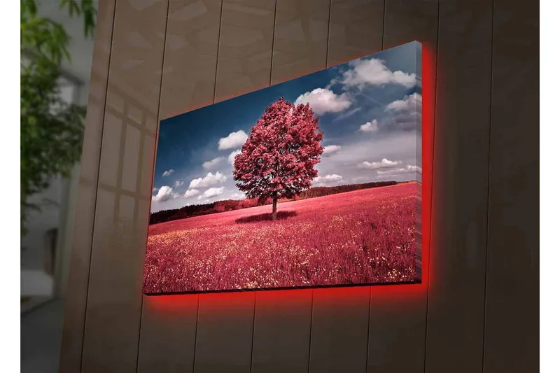 Lerretsbilde med LED-belysning - Statlig rosa tre på en fargerik eng - Rosa / Grønn / Blå - Innredning - Bilder & kunst - Lerretsbilder