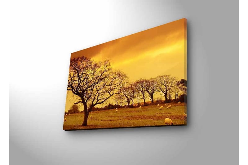 Lerretsbilde med LED-belysning - Stemningsfullt landskap med silhuetter av trær mot en gyllen himmel - Gull / Brun / Svart - Innredning - Bilder & kunst - Lerretsbilder