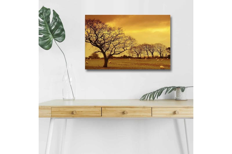 Lerretsbilde med LED-belysning - Stemningsfullt landskap med silhuetter av trær mot en gyllen himmel, Gull / Brun / Svart