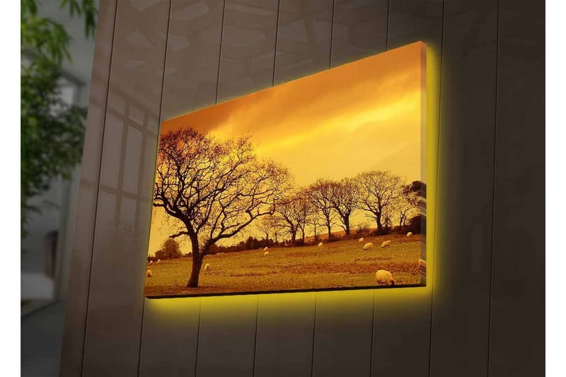 Lerretsbilde med LED-belysning - Stemningsfullt landskap med silhuetter av trær mot en gyllen himmel - Gull / Brun / Svart - Innredning - Bilder & kunst - Lerretsbilder