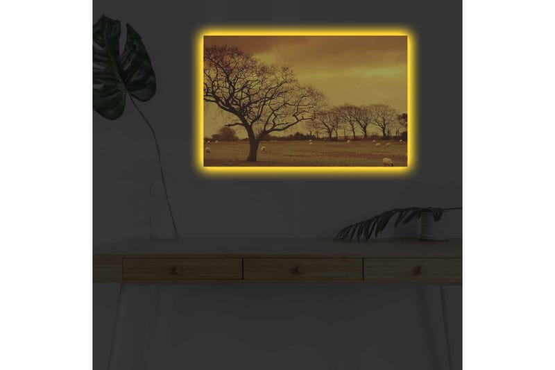 Lerretsbilde med LED-belysning - Stemningsfullt landskap med silhuetter av trær mot en gyllen himmel - Gull / Brun / Svart - Innredning - Bilder & kunst - Lerretsbilder