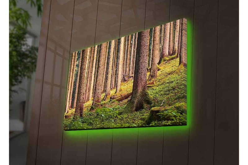 Lerretsbilde med LED-belysning - Stille skog med høye trær og frodig grøntområde - Grønn / Brun / Beige - Innredning - Bilder & kunst - Lerretsbilder