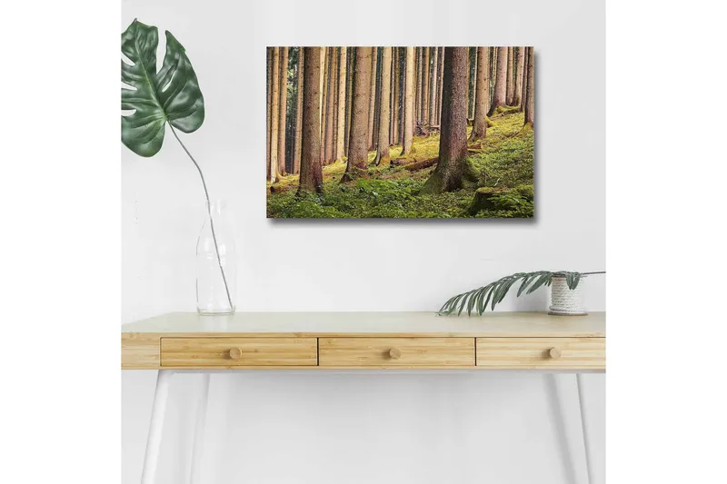 Lerretsbilde med LED-belysning - Stille skog med høye trær og frodig grøntområde, Grønn / Brun / Beige