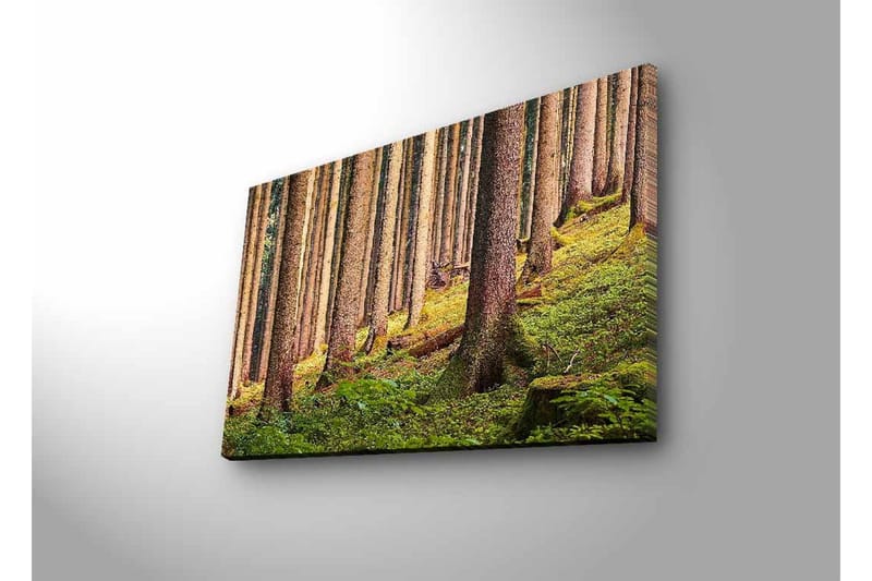 Lerretsbilde med LED-belysning - Stille skog med høye trær og frodig grøntområde - Grønn / Brun / Beige - Innredning - Bilder & kunst - Lerretsbilder