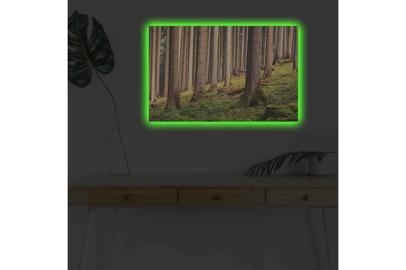 Lerretsbilde med LED-belysning - Stille skog med høye trær og frodig grøntområde - Grønn / Brun / Beige - Innredning - Bilder & kunst - Lerretsbilder