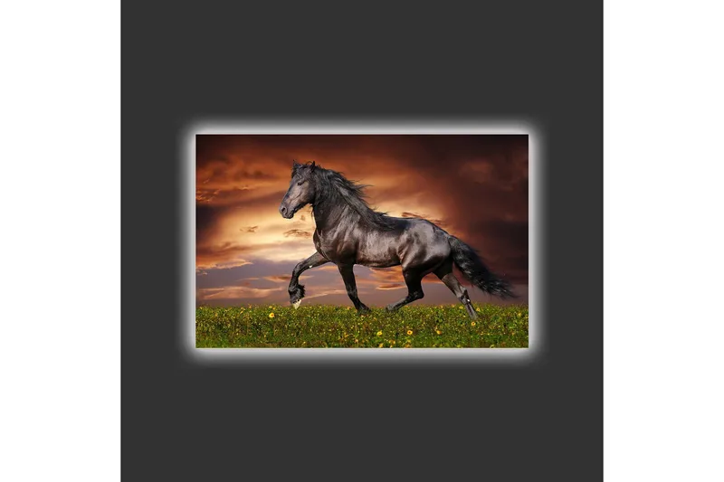 Lerretsbilde med LED-belysning - Stolt svart hest galopperer over en grønn eng - Svart / Grønn / Oransje - Innredning - Bilder & kunst - Lerretsbilder