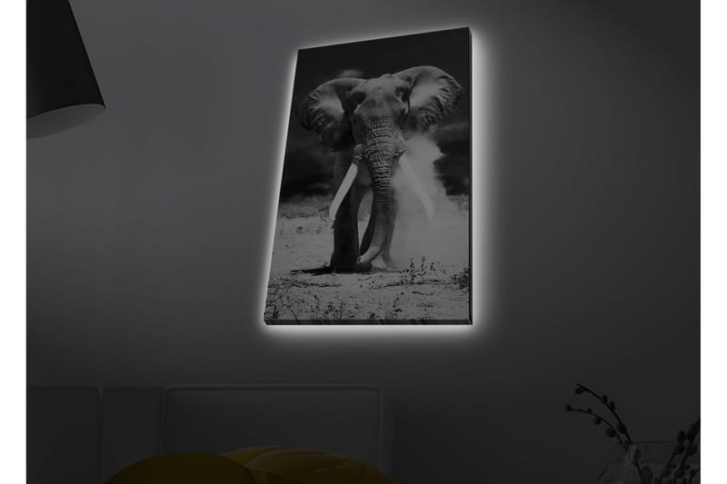 Lerretsbilde med LED-belysning - Storslått elefant i svart-hvitt - Svart / Hvit - Innredning - Bilder & kunst - Lerretsbilder