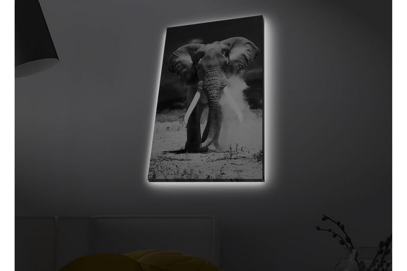 Lerretsbilde med LED-belysning - Storslått elefant i svart-hvitt - Svart / Hvit - Innredning - Bilder & kunst - Lerretsbilder