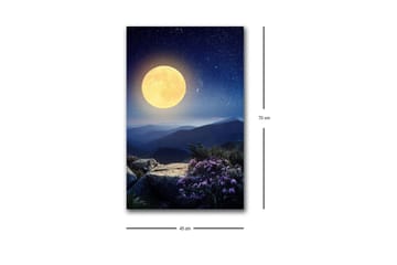 Lerretsbilde med LED-belysning - Storslått måne over et fjernt fjellandskap med blomster i forgrunnen - Mørk blå / Gul / Lilla - Innredning - Bilder & kunst - Lerretsbilder