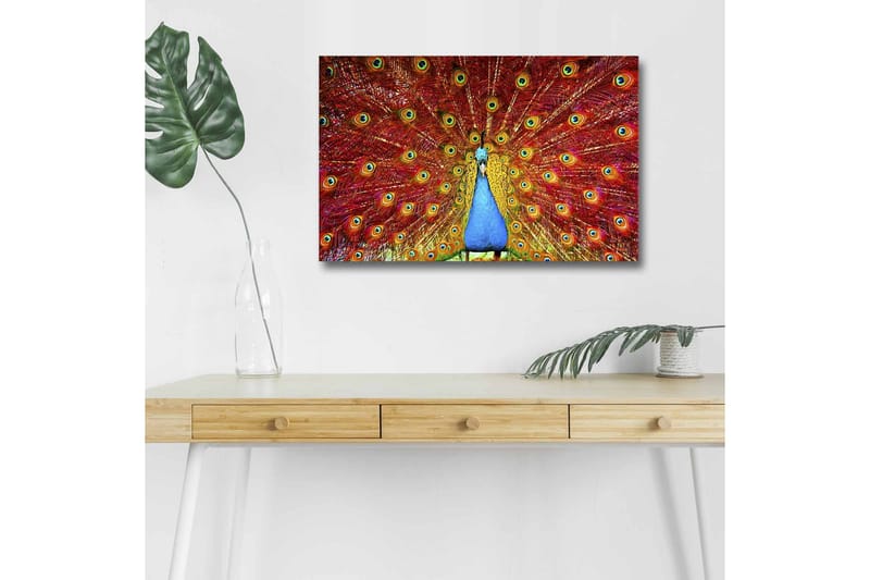 Lerretsbilde med LED-belysning - Storslått påfugl med spredte fjær i livlige farger - Rød / Blå / Grønn - Innredning - Bilder & kunst - Lerretsbilder