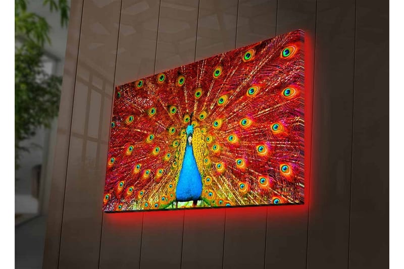 Lerretsbilde med LED-belysning - Storslått påfugl med spredte fjær i livlige farger - Rød / Blå / Grønn - Innredning - Bilder & kunst - Lerretsbilder