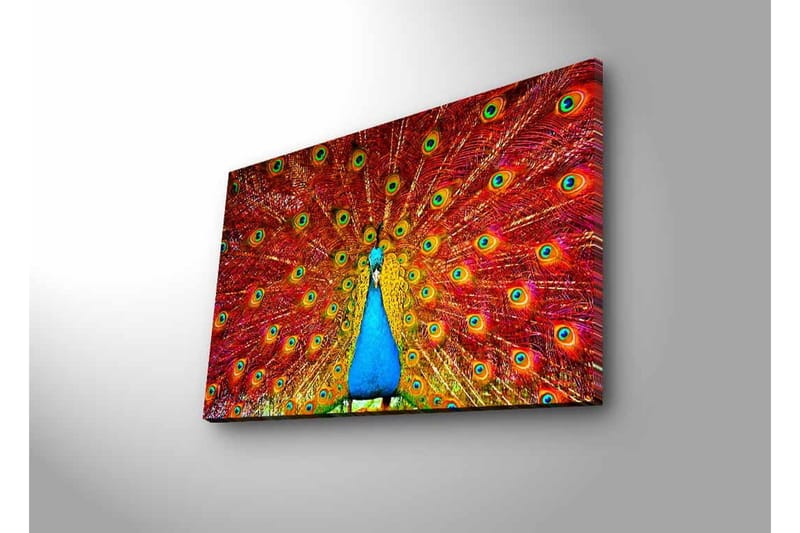 Lerretsbilde med LED-belysning - Storslått påfugl med spredte fjær i livlige farger - Rød / Blå / Grønn - Innredning - Bilder & kunst - Lerretsbilder