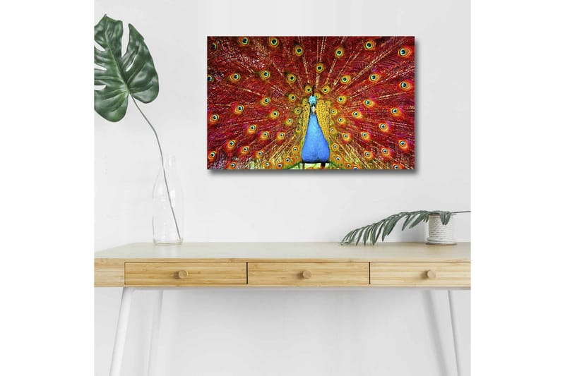 Lerretsbilde med LED-belysning - Storslått påfugl med spredte fjær i livlige farger - Rød / Blå / Grønn - Innredning - Bilder & kunst - Lerretsbilder