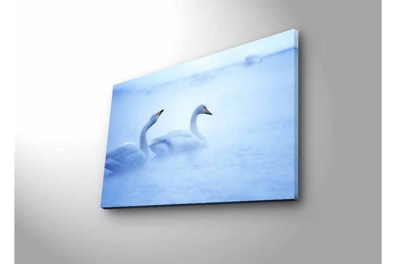 Lerretsbilde med LED-belysning - Svaner som svømmer i et tåkete vannmiljø - Lys blå / Hvit - Innredning - Bilder & kunst - Lerretsbilder