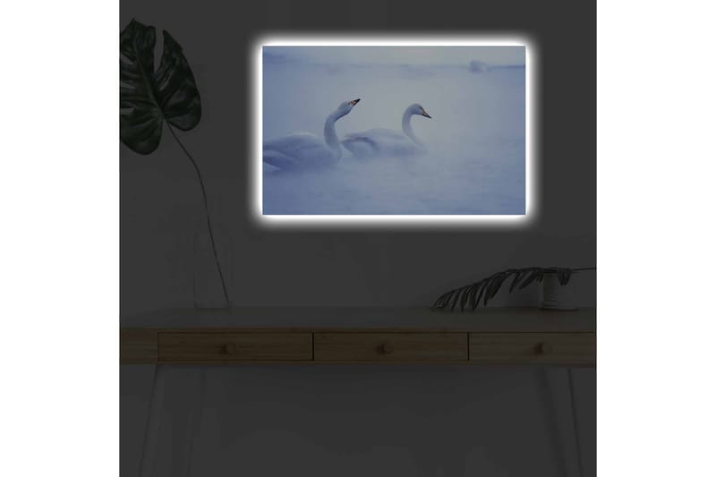 Lerretsbilde med LED-belysning - Svaner som svømmer i et tåkete vannmiljø - Lys blå / Hvit - Innredning - Bilder & kunst - Lerretsbilder