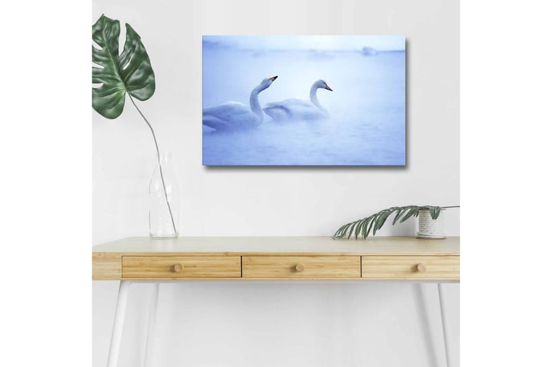 Lerretsbilde med LED-belysning - Svaner som svømmer i et tåkete vannmiljø - Lys blå / Hvit - Innredning - Bilder & kunst - Lerretsbilder