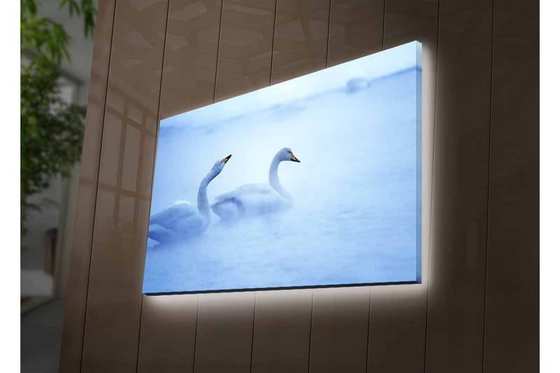Lerretsbilde med LED-belysning - Svaner som svømmer i et tåkete vannmiljø - Lys blå / Hvit - Innredning - Bilder & kunst - Lerretsbilder