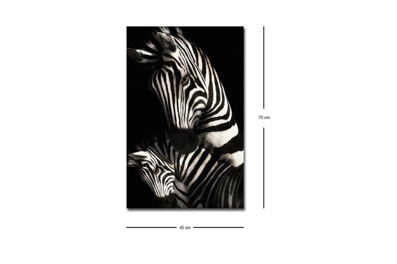 Lerretsbilde med LED-belysning - Svart-hvite sebraer med karakteristiske striper - Svart / Hvit - Innredning - Bilder & kunst - Lerretsbilder