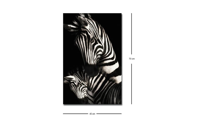Lerretsbilde med LED-belysning - Svart-hvite sebraer med karakteristiske striper - Svart / Hvit - Innredning - Bilder & kunst - Lerretsbilder