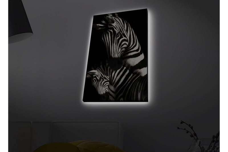 Lerretsbilde med LED-belysning - Svart-hvite sebraer med karakteristiske striper - Svart / Hvit - Innredning - Bilder & kunst - Lerretsbilder