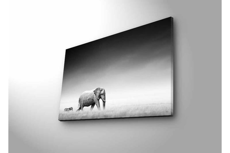 Lerretsbilde med LED-belysning - Svart-hvitt-bilde av en elefant som går gjennom savannen med en sebra i bakgrunnen - Svart / Hvit / Grå - Innredning - Bilder & kunst - Lerretsbilder