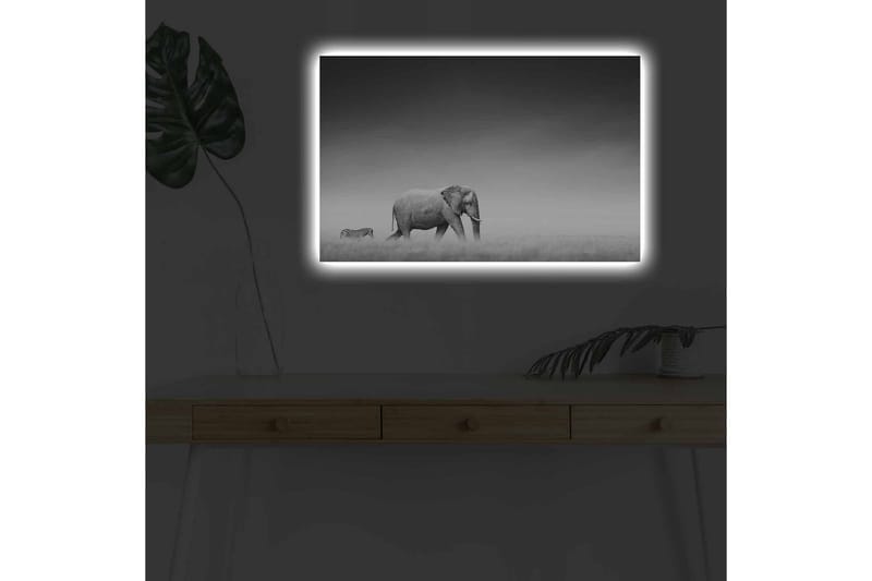 Lerretsbilde med LED-belysning - Svart-hvitt-bilde av en elefant som går gjennom savannen med en sebra i bakgrunnen - Svart / Hvit / Grå - Innredning - Bilder & kunst - Lerretsbilder