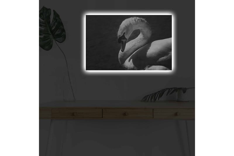 Lerretsbilde med LED-belysning - Svart og hvit svane i elegant positur - Svart / Hvit - Innredning - Bilder & kunst - Lerretsbilder